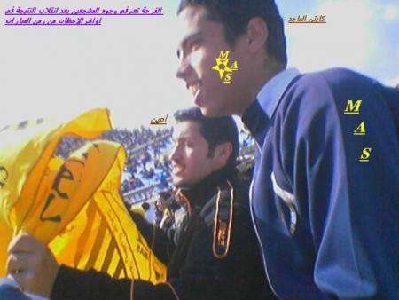 les star tigers