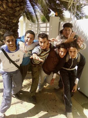 virage star tigers